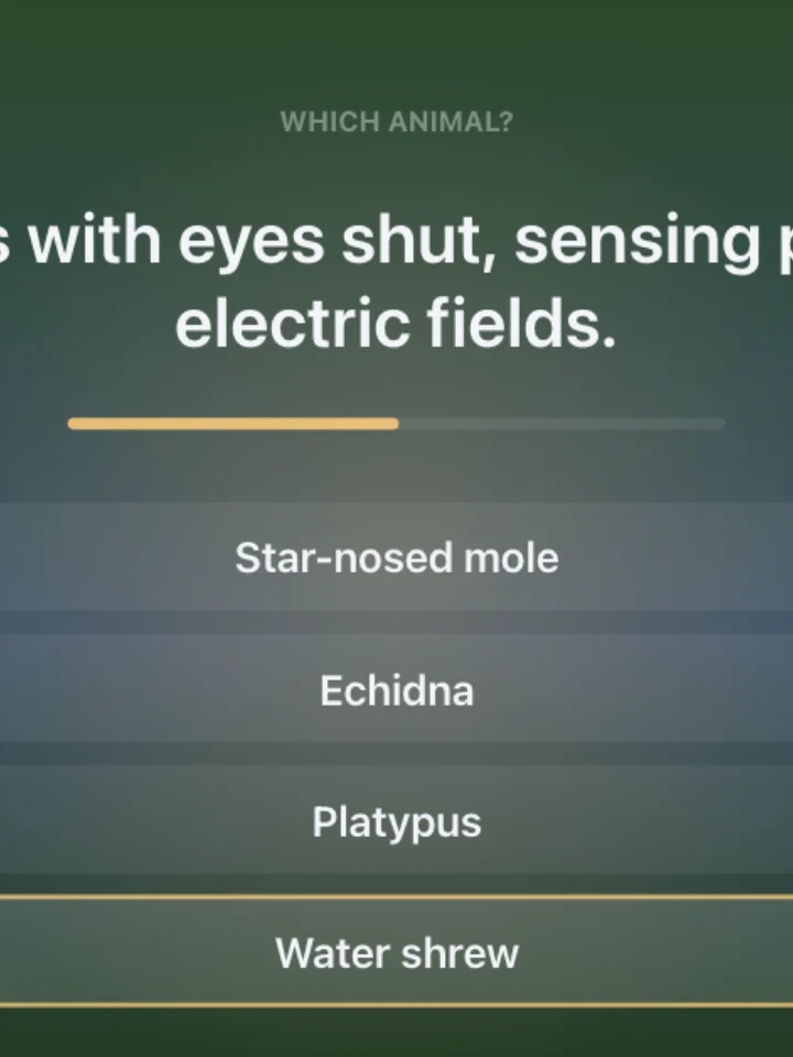 Animal Facts — a trivia game, captured from play
