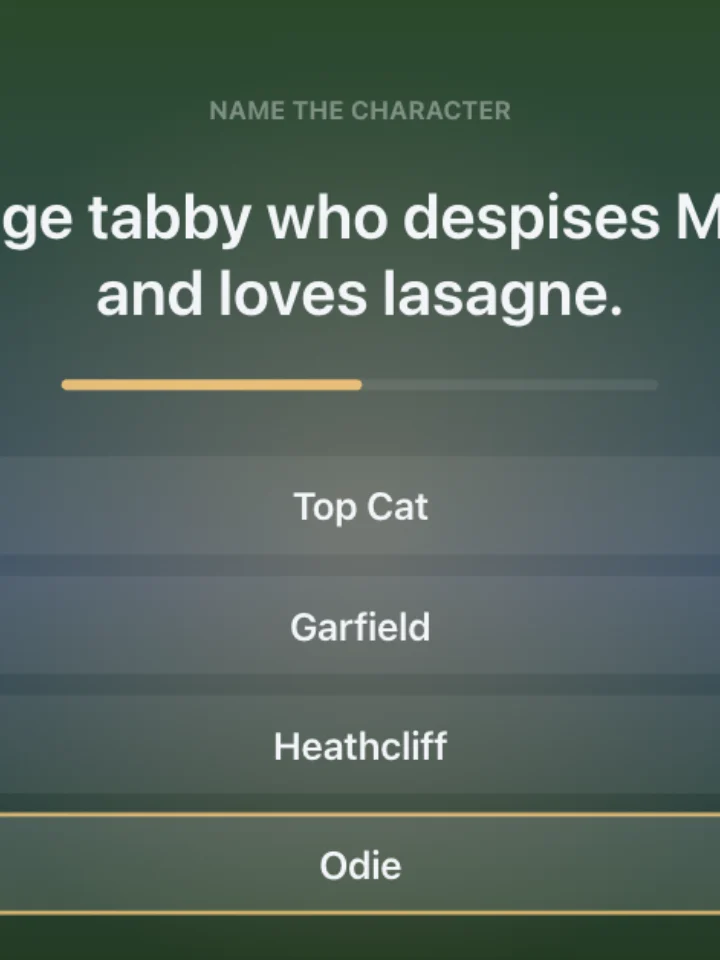 Name the Cartoon — a trivia game, captured from play