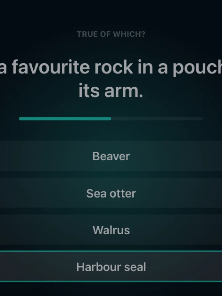 Ocean Facts — a trivia game, captured from play
